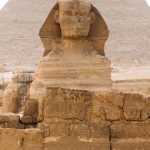 Генеалогическое древо династии Птолемеев с Клеопатрой VII