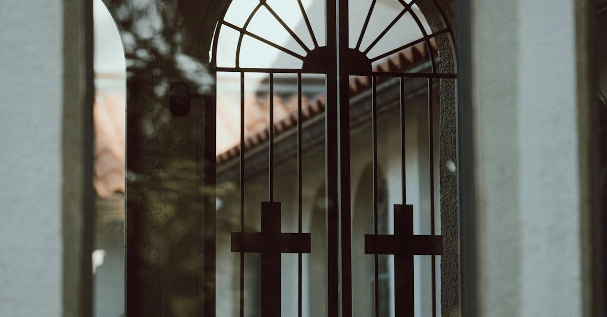 Азартные традиции предков в генеалогическом исследовании Casino-X